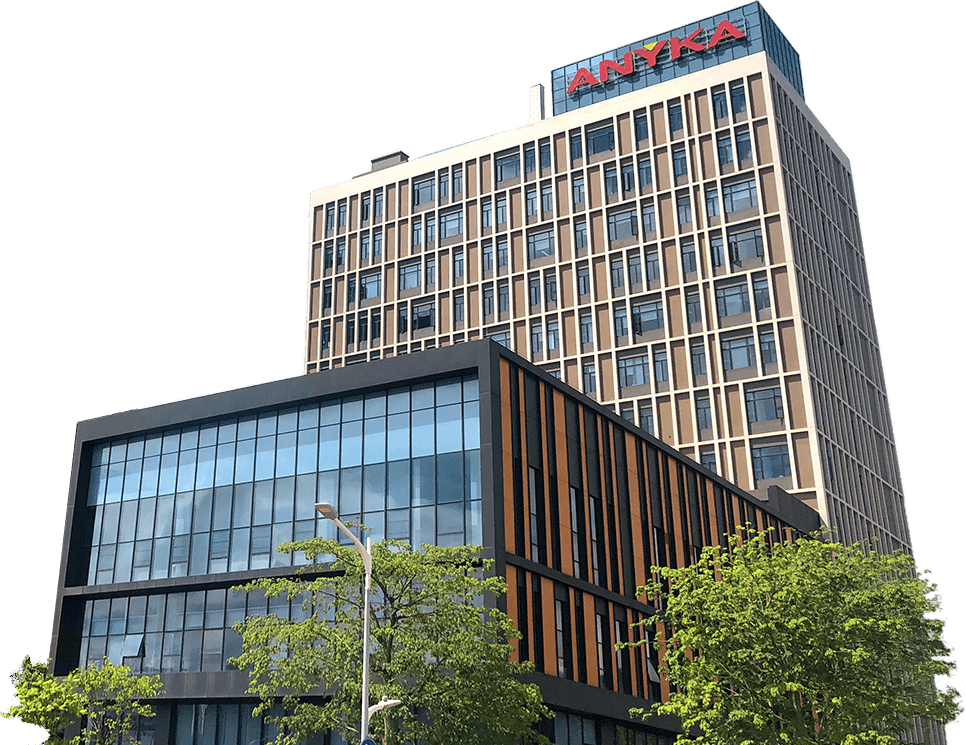About the Company